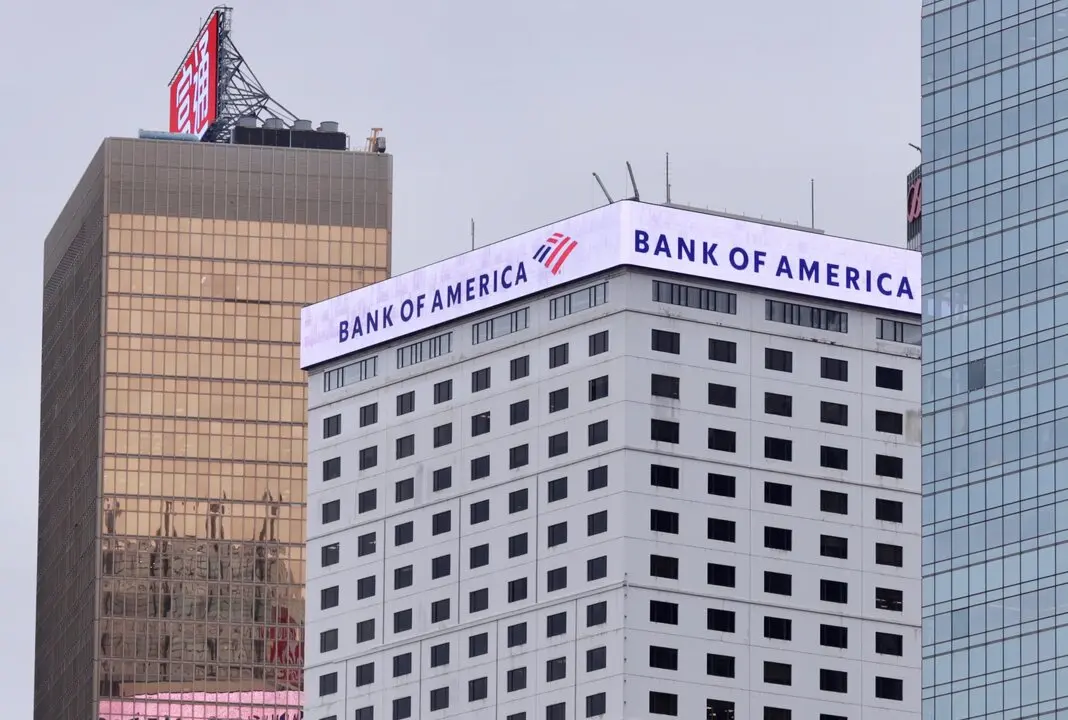 contactophoto-0649055891