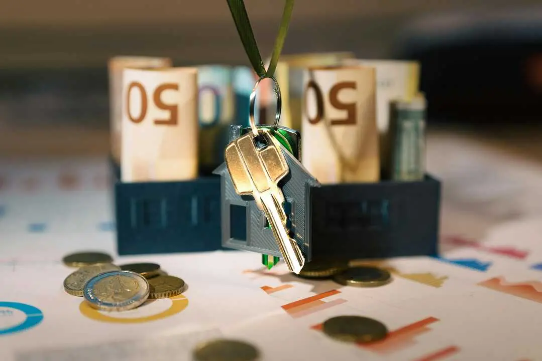 pexels-jakubzerdzicki-30139610 dinero