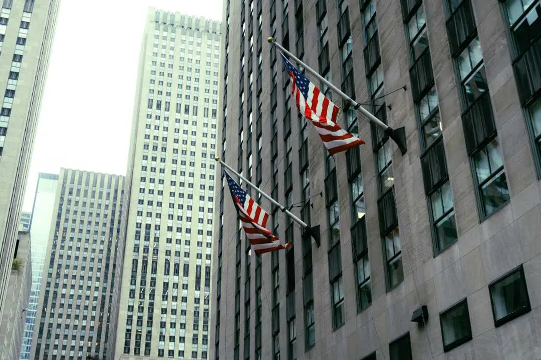 pexels-mtolentino23-18529785