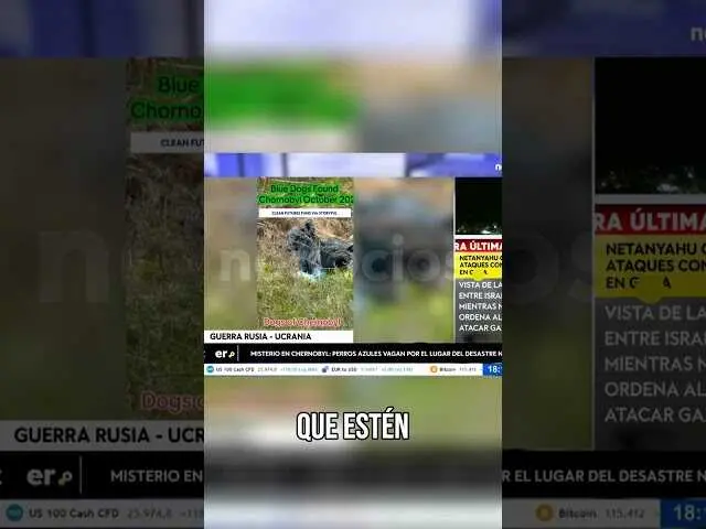 Imagen en miniatura que muestra a uno de los perros azules aparecidos en la zona de exclusi&oacute;n de Chern&oacute;bil, destacando el entorno desolado y afectado por el desastre nuclear.<br>                        <br>                        <br>                        <br>                      