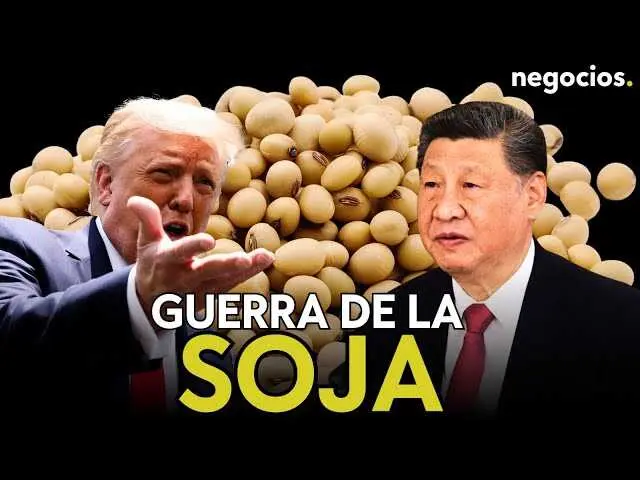 Imagen ilustrativa de la soja, producto clave en la guerra comercial entre China y Estados Unidos, mostrando granos sobre fondo agrícola.<br>                        <br>                        <br>                        <br>                      
