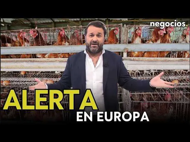 Imagen representativa del impacto de la gripe aviar en las granjas avícolas europeas, con un enfoque en el confinamiento y las medidas de contención.<br>                        <br>                        <br>                        <br>                      