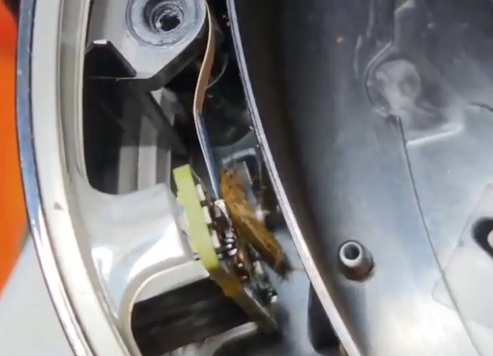 La PS5 llena de cucarachas