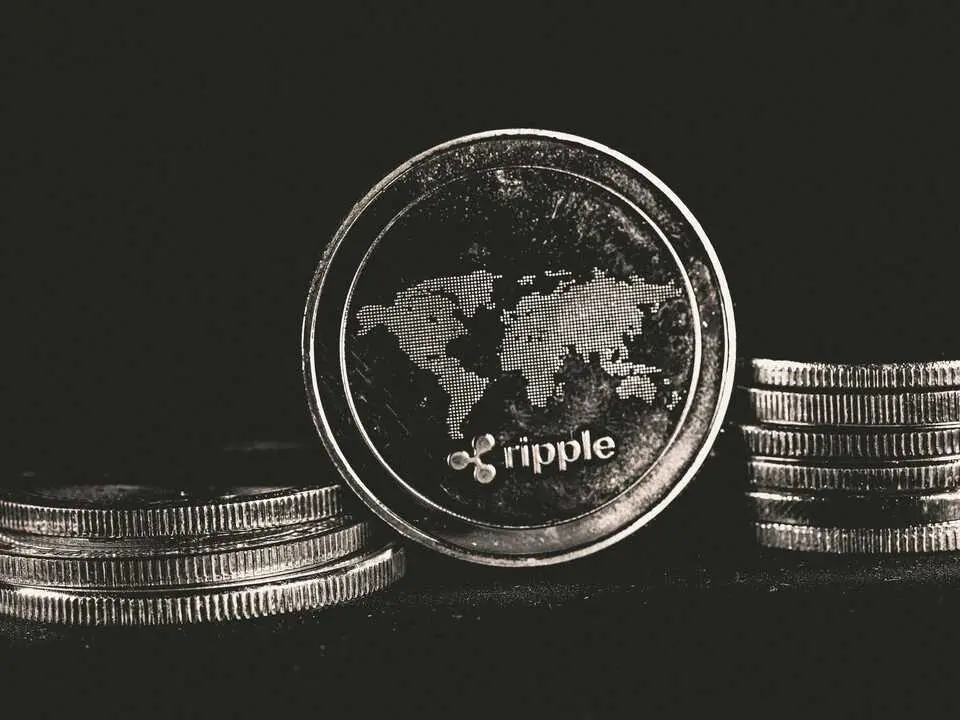 XRP pexels-rudonni-7293787(1)