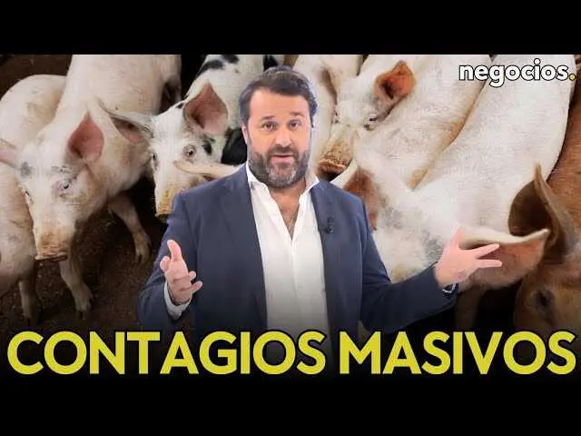 Imagen que muestra la sierra de Collserola, el epicentro del brote de peste porcina africana detectado en Cataluña.<br>                        <br>                        <br>                        <br>                      