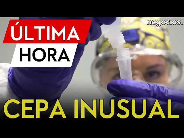 Vista ampliada de un virus de la gripe en colores v&iacute;vidos sobre fondo ominoso, ilustrando la alerta sanitaria en Europa<br>                        <br>                        <br>                        <br>                      