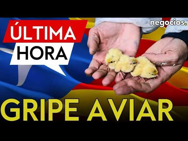 Vista a&eacute;rea de una granja av&iacute;cola en Lleida, zona afectada por el brote de gripe aviar y bajo medidas de confinamiento.<br>                        <br>                        <br>                        <br>                      