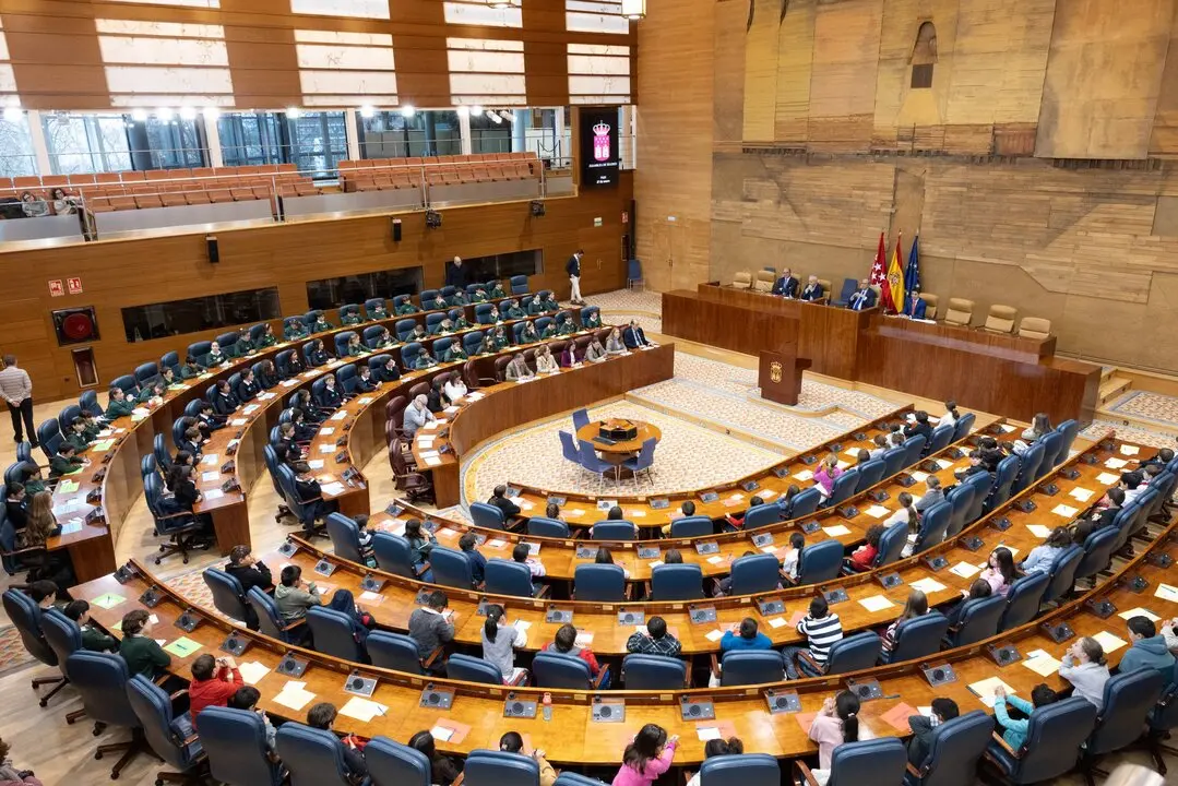 Pleno infantil en la Asamblea de Madrid_Aldeas Infantiles SOS 1