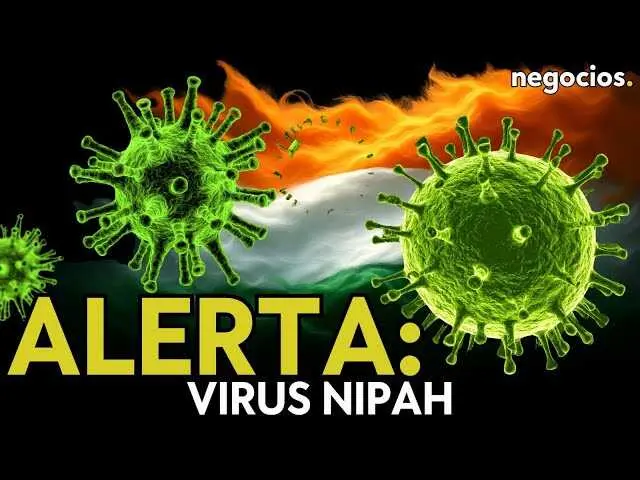Ilustraci&oacute;n de un murci&eacute;lago frutero, principal transmisor del virus Nipah, resaltando la amenaza silenciosa que representa para Asia.<br>                        <br>                        <br>                        <br>                      