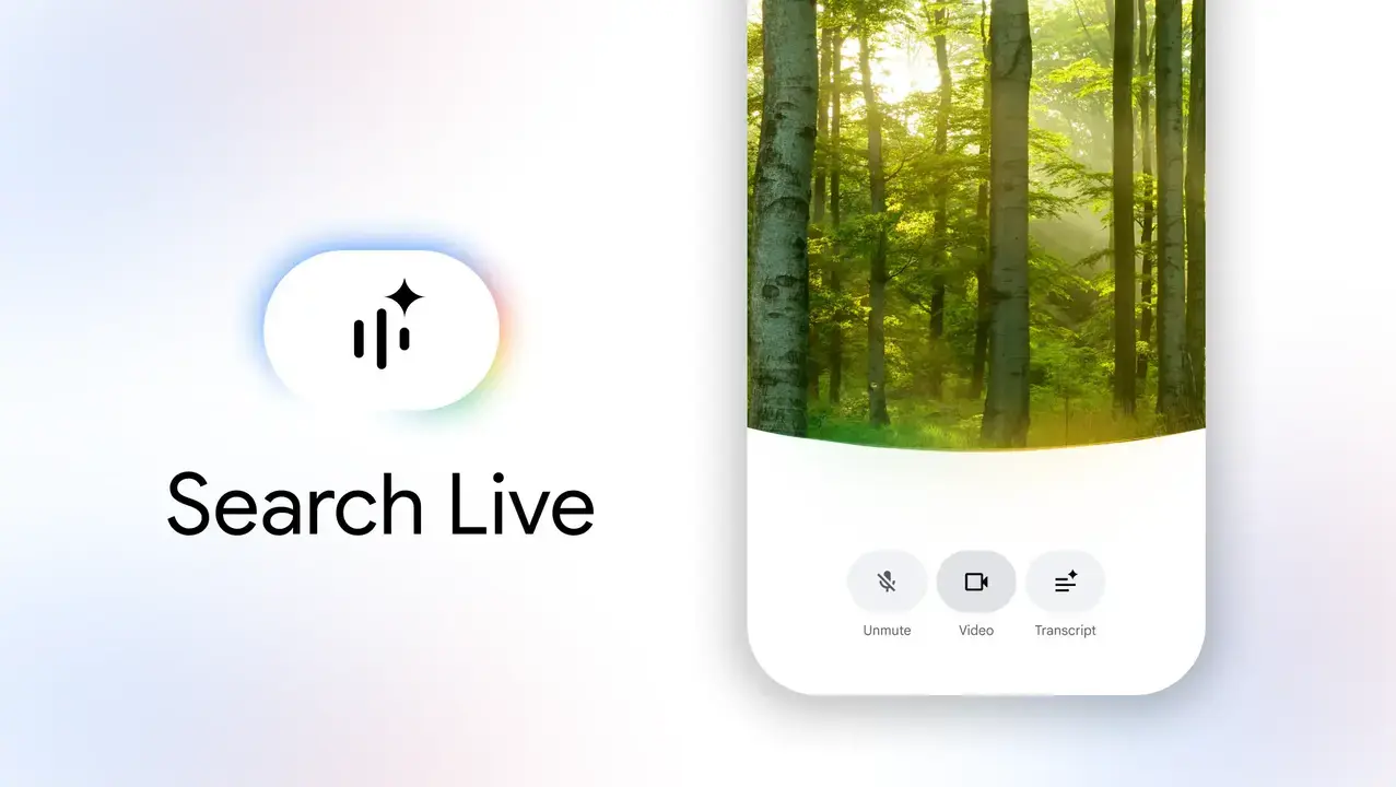 Search_live_3.1
