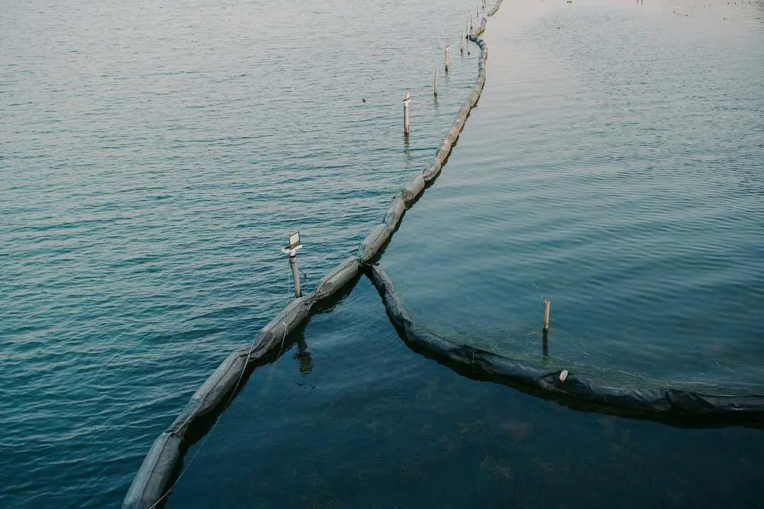 Foto de wen qiao en Unsplash