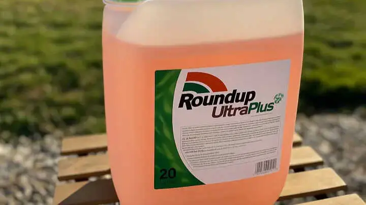El Supremo de EEUU protege a Bayer de miles de demandas por advertencias de c&aacute;ncer en Roundup