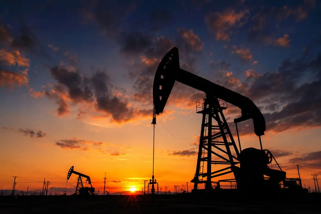 Petr&oacute;leo