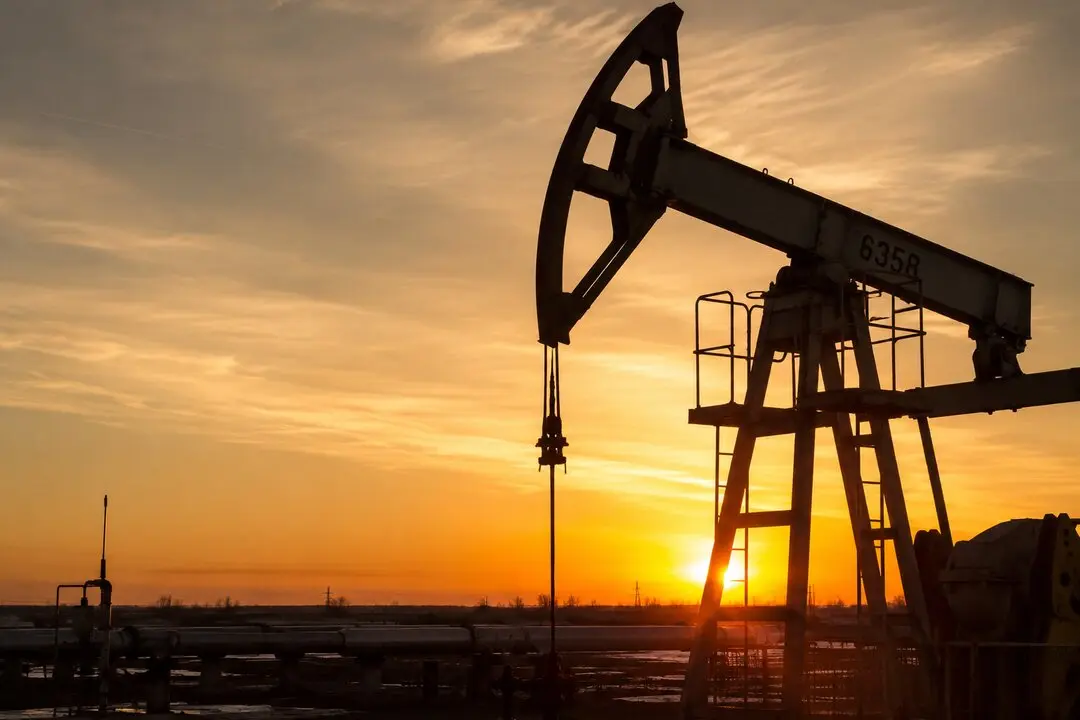 Petr&oacute;leo