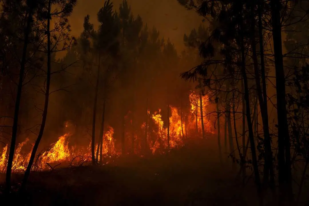 BOBORAS, SPAIN &ndash; JUNE 14, 2026: An active wildfire burns near Bobor&aacute;s in the northwestern Spanish region of Galicia on June 14, 2026. The regional government of Galicia activated a Level 2 emergency as firefighters continued efforts to contain the blaze amid concerns over its spread. Photo by Brais Lorenzo / JNA Press (Photo by Brais Lorenzo/JNA Press via Nexpher Images)