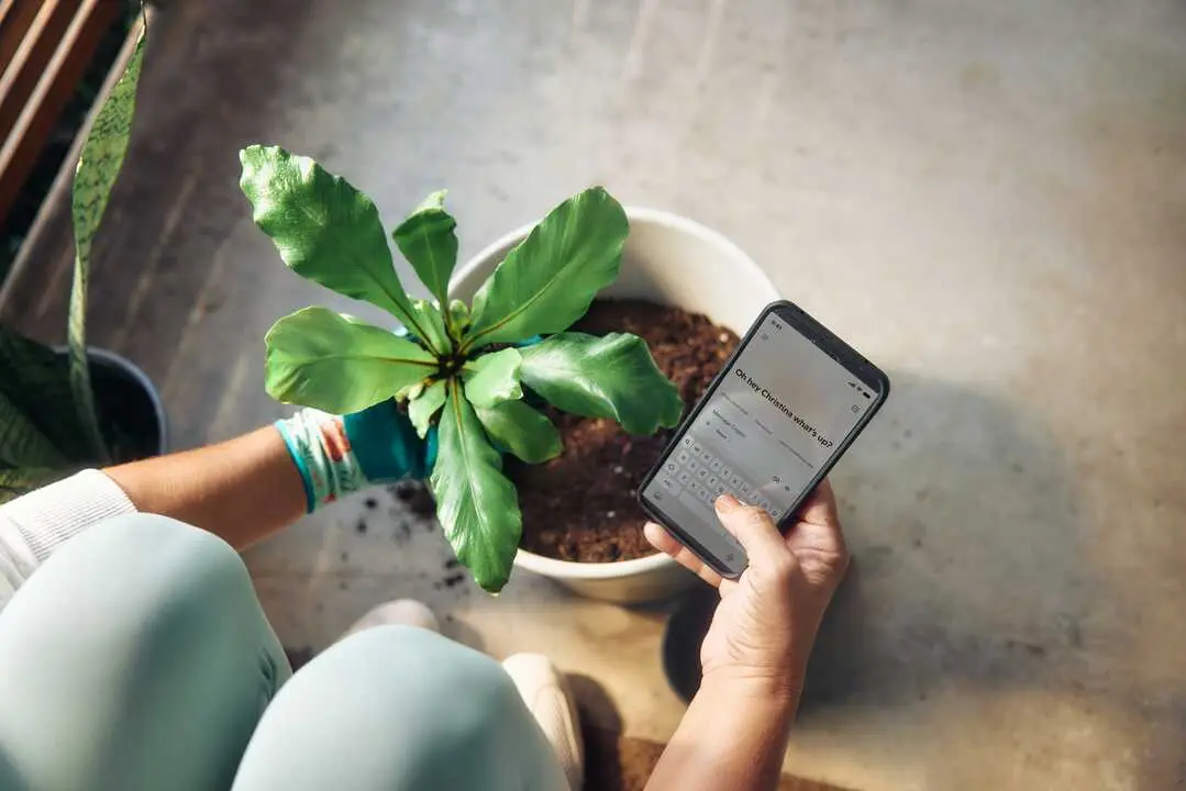 Tech Foto de Microsoft Copilot en Unsplash