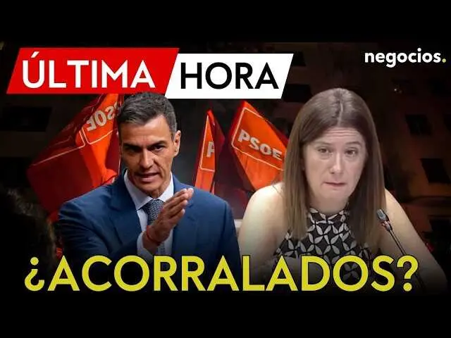 Captura del v&iacute;deo de Negocios TV que muestra el avance en la investigaci&oacute;n judicial del 'caso Leire'.<br>                        <br>                        <br>                        <br>                      