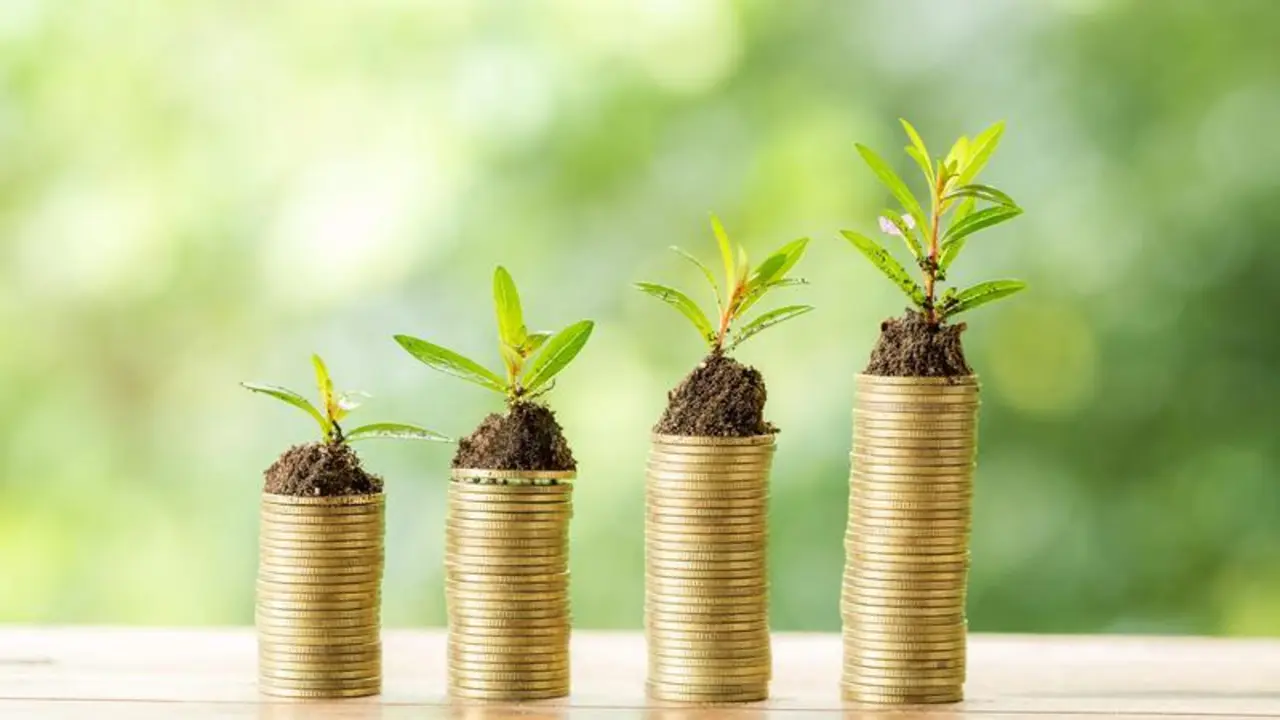 Coin on wooden table in front of green bokeh background. coins a concept of investment and saving moneys.