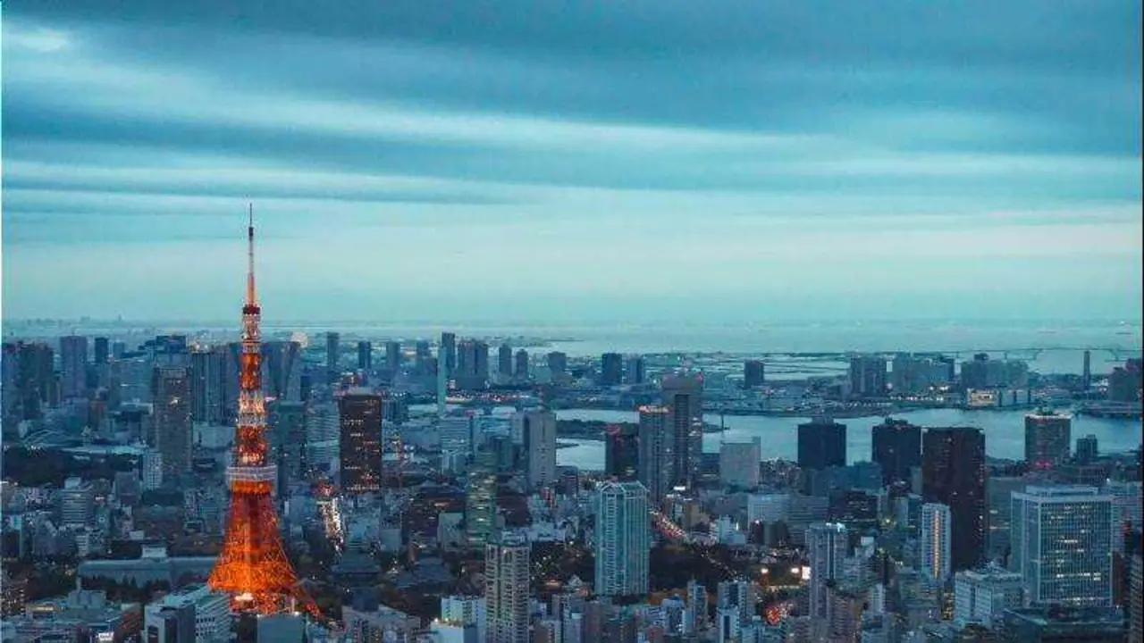 UNSPLASH&nbsp;/&nbsp;LOUIE&nbsp;MARTINEZ