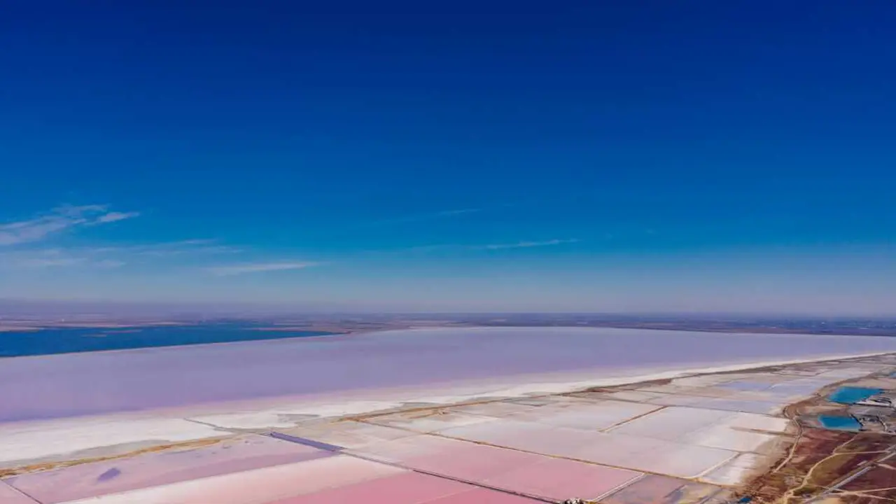 pexels-mikhail-nilov-8414055 tierras