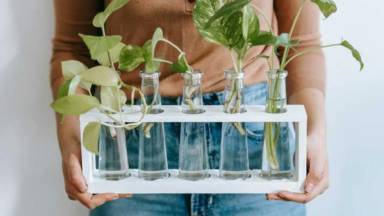 pexels-teona-swift-6913477