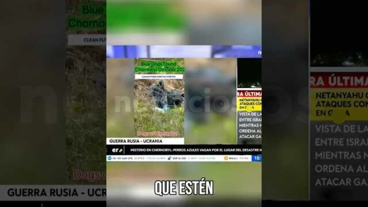 Imagen en miniatura que muestra a uno de los perros azules aparecidos en la zona de exclusión de Chernóbil, destacando el entorno desolado y afectado por el desastre nuclear.<br>                        <br>                        <br>                        <br>                      