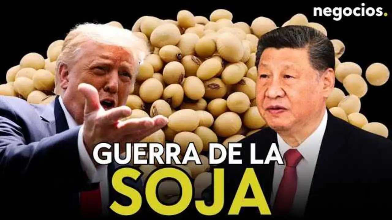 Imagen ilustrativa de la soja, producto clave en la guerra comercial entre China y Estados Unidos, mostrando granos sobre fondo agrícola.<br>                        <br>                        <br>                        <br>                      