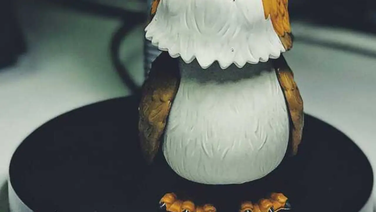 Funko pexels-mooncrescent-699739