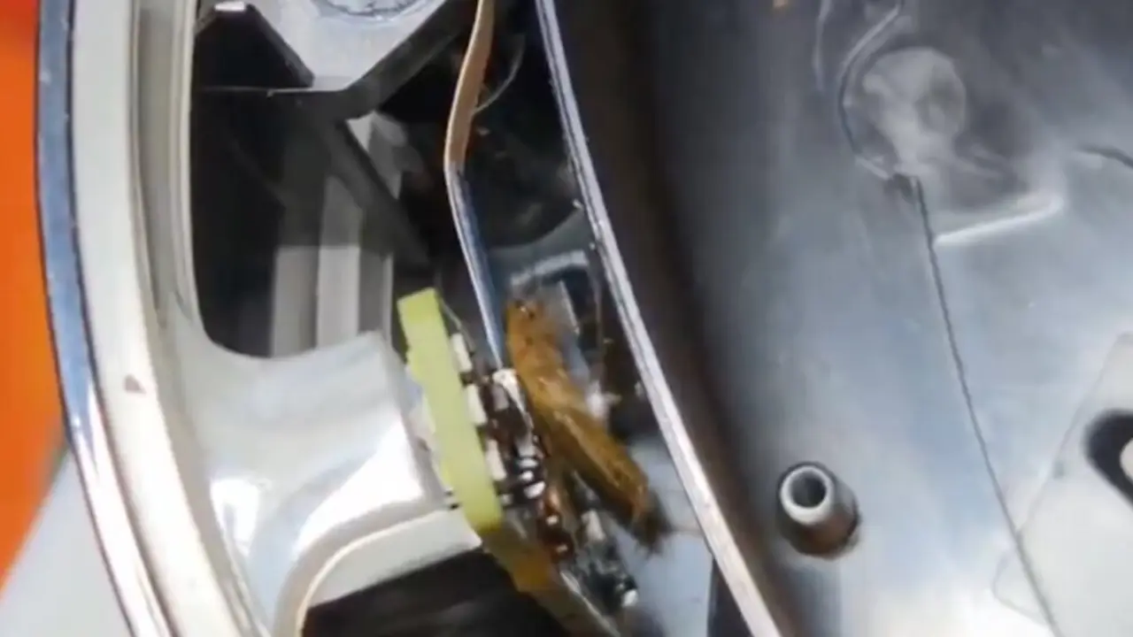 La PS5 llena de cucarachas