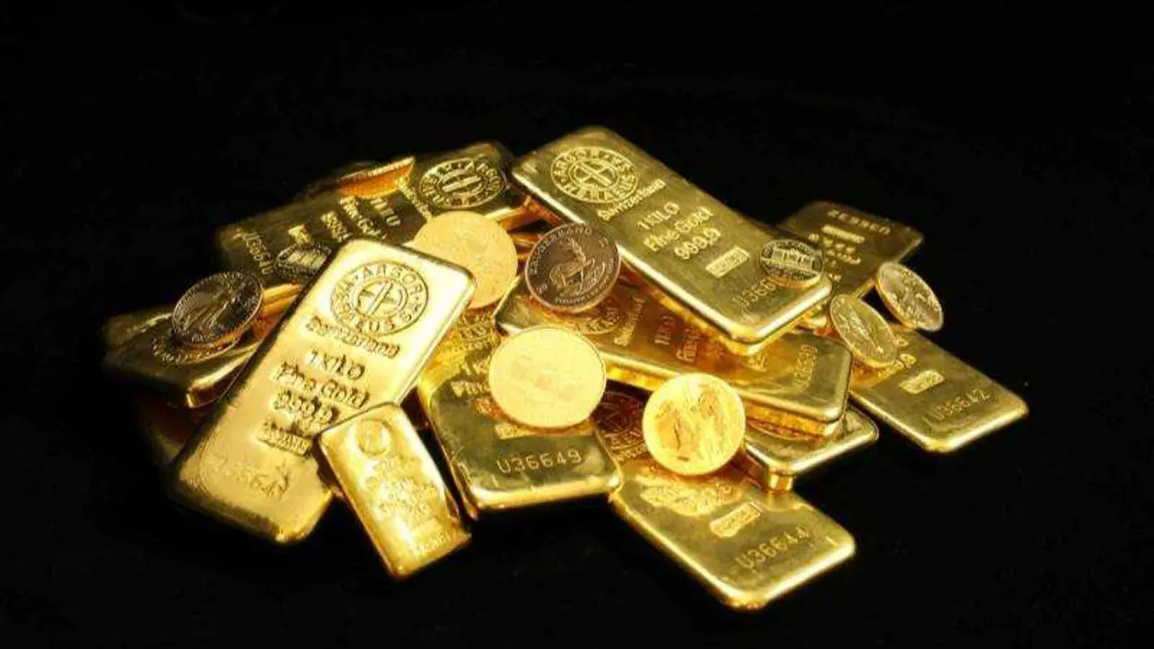 UNSPLASH / ZLATÁKY.CZ