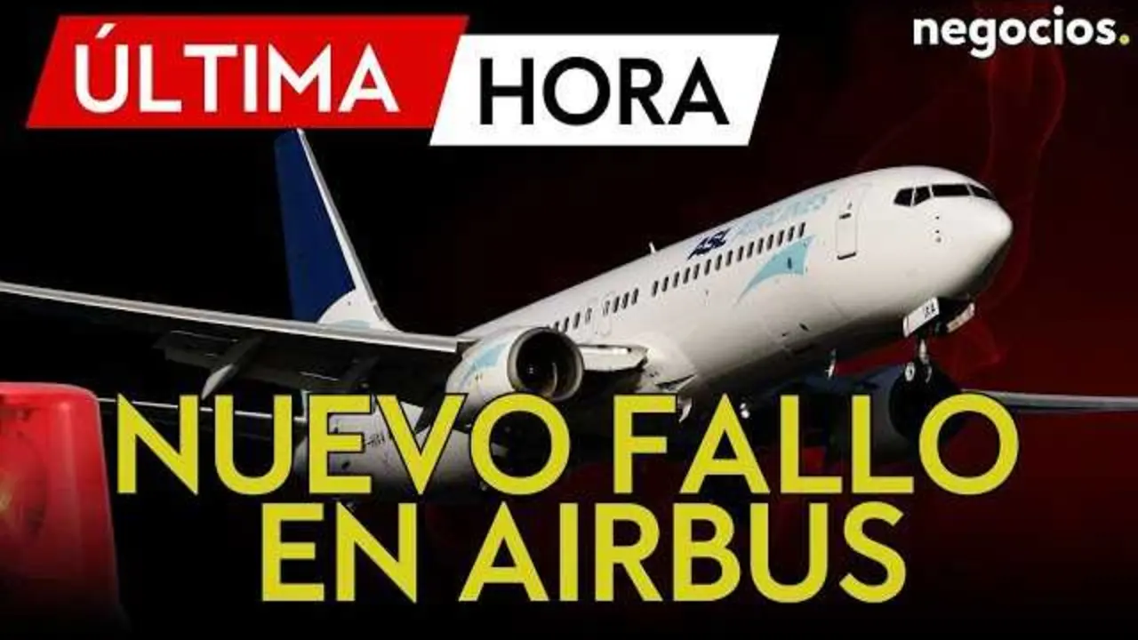 Imagen del avión Airbus A320 en vuelo, representando la flota afectada por los recientes fallos técnicos.<br>                        <br>                        <br>                        <br>                      