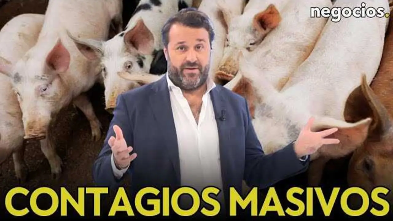 Imagen que muestra la sierra de Collserola, el epicentro del brote de peste porcina africana detectado en Cataluña.<br>                        <br>                        <br>                        <br>                      