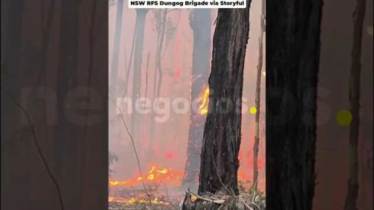 Bomberos australianos enfrentan incendios forestales en Nueva Gales del Sur<br>                        <br>                        <br>                        <br>                      