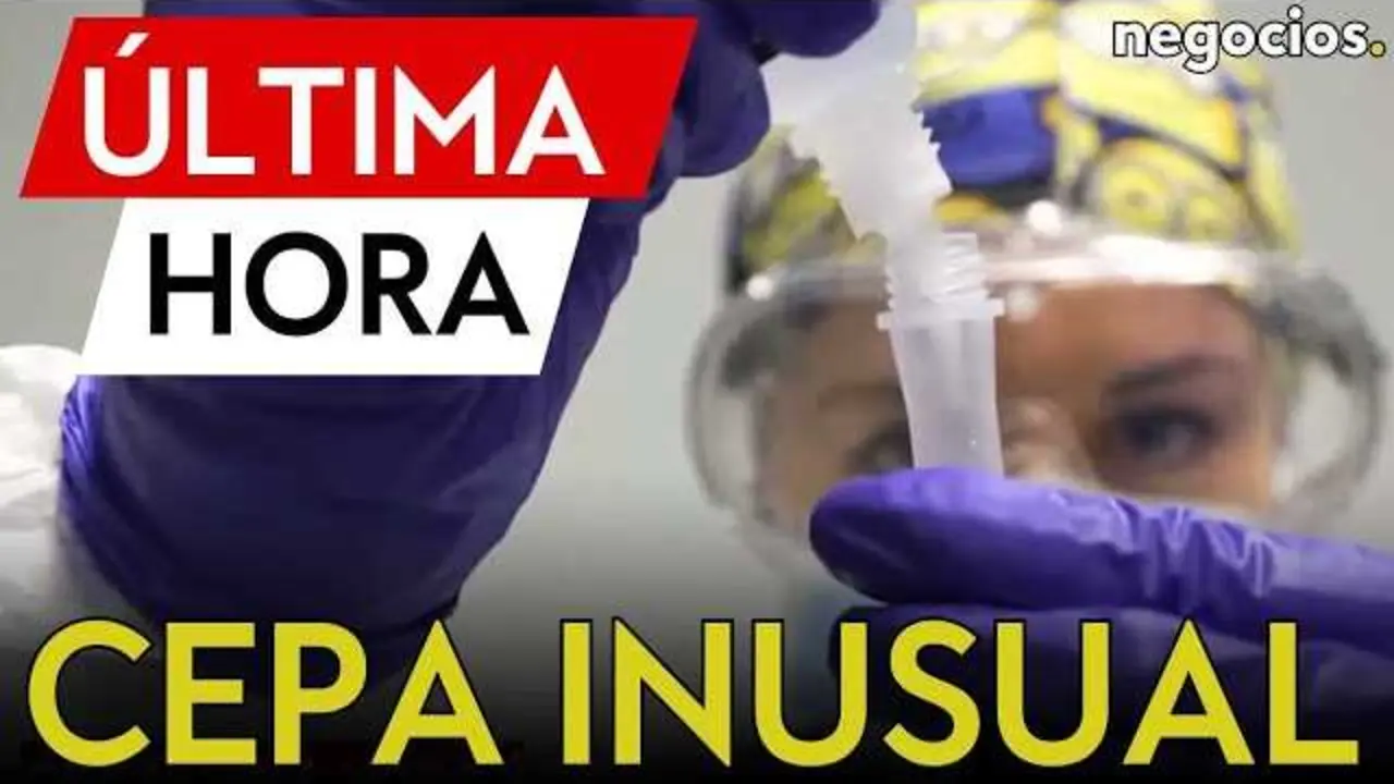 Vista ampliada de un virus de la gripe en colores v&iacute;vidos sobre fondo ominoso, ilustrando la alerta sanitaria en Europa<br>                        <br>                        <br>                        <br>                      