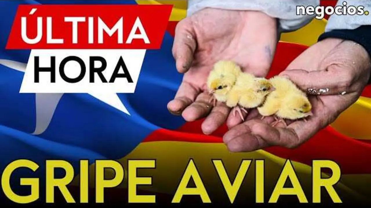 Vista a&eacute;rea de una granja av&iacute;cola en Lleida, zona afectada por el brote de gripe aviar y bajo medidas de confinamiento.<br>                        <br>                        <br>                        <br>                      