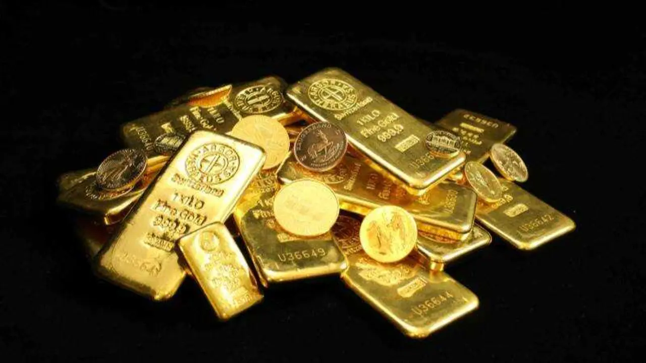 UNSPLASH / ZLAT&Aacute;KY.CZ