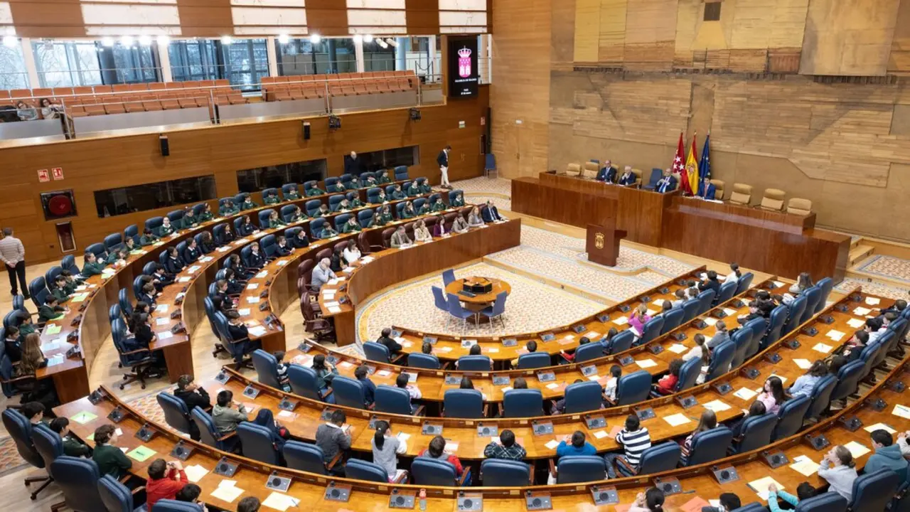 Pleno infantil en la Asamblea de Madrid_Aldeas Infantiles SOS 1