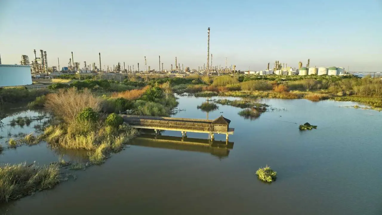 Laguna Primera de Palos, junto al Parque Energ&eacute;tico de La R&aacute;bida de Moeve