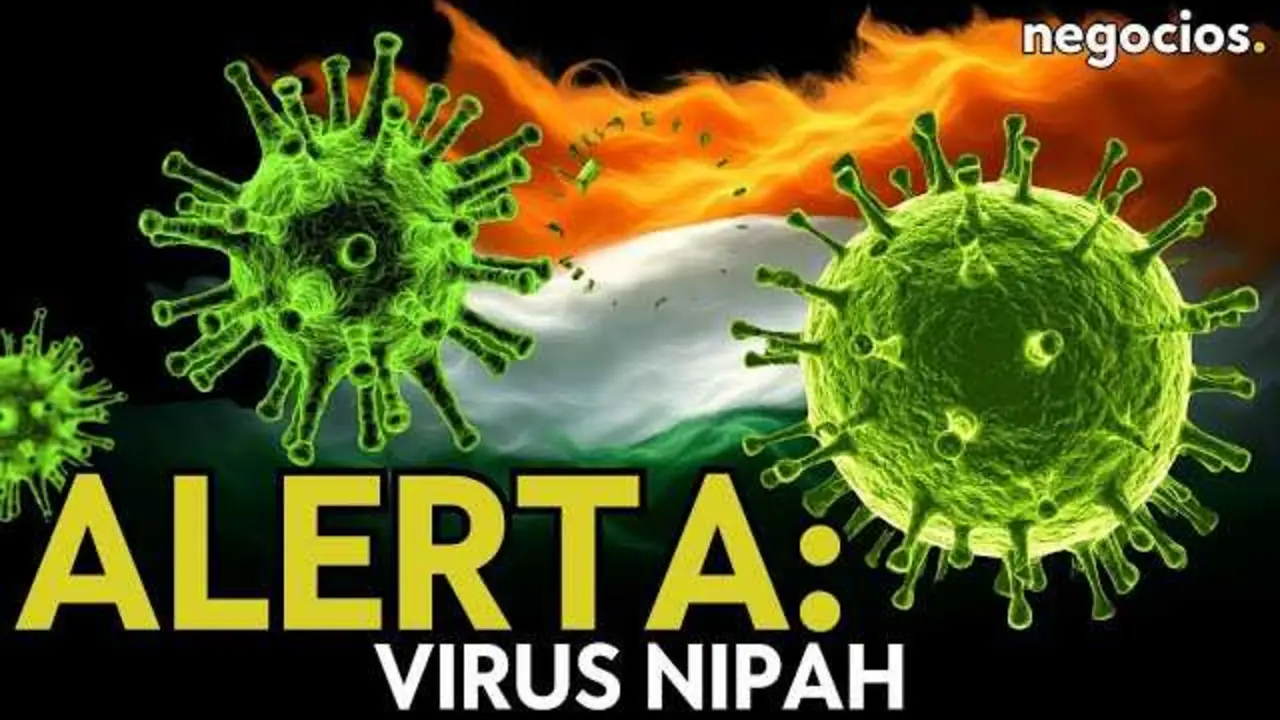 Ilustraci&oacute;n de un murci&eacute;lago frutero, principal transmisor del virus Nipah, resaltando la amenaza silenciosa que representa para Asia.<br>                        <br>                        <br>                        <br>                      