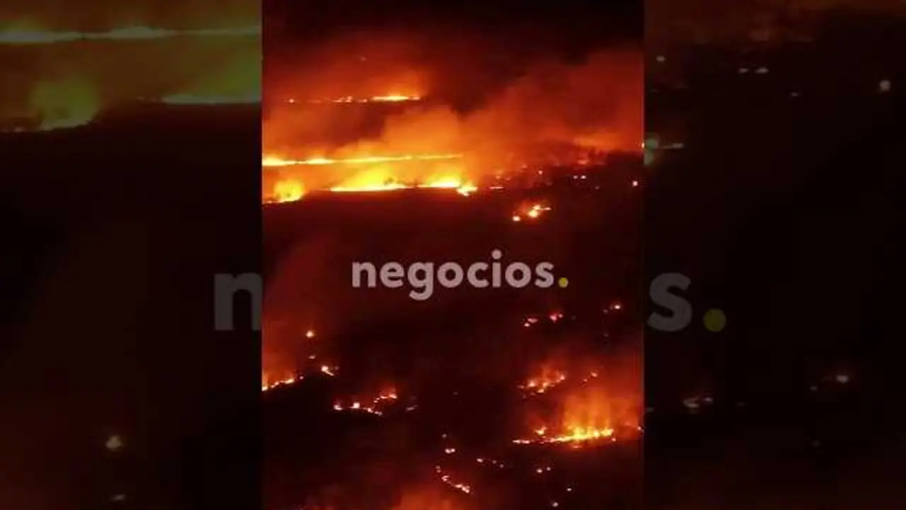 Imagen a&eacute;rea que muestra la extensi&oacute;n del incendio en la Reserva Nacional Big Cypress en Florida, con humo denso cubriendo la zona afectada.<br>                        <br>                        <br>                        <br>                      
