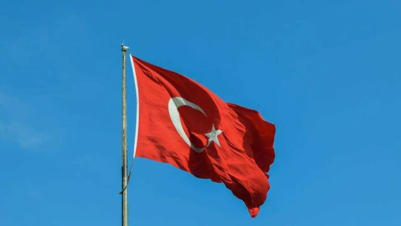 UNSPLASH / TARIK_HAIGA