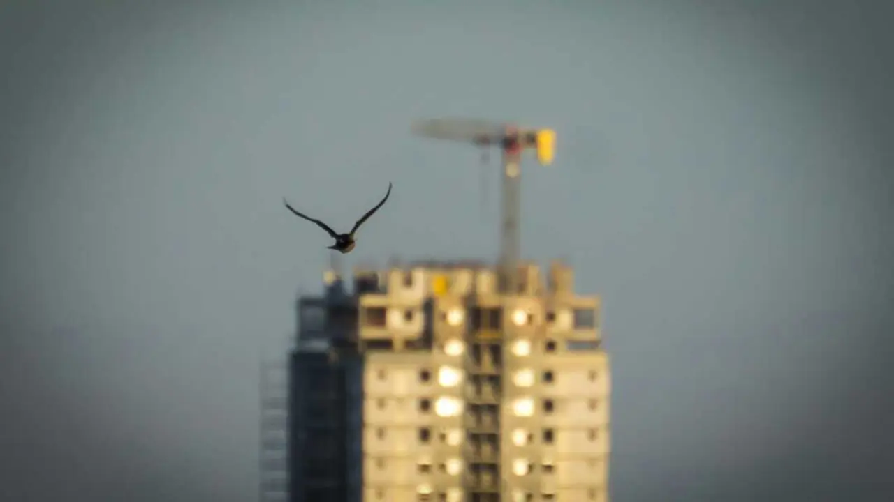 Foto de Avi Theret en Unsplash