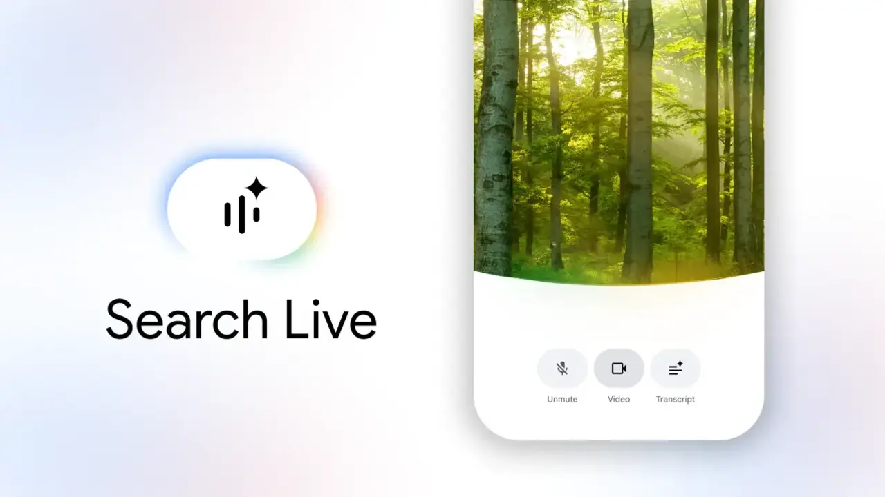 Search_live_3.1