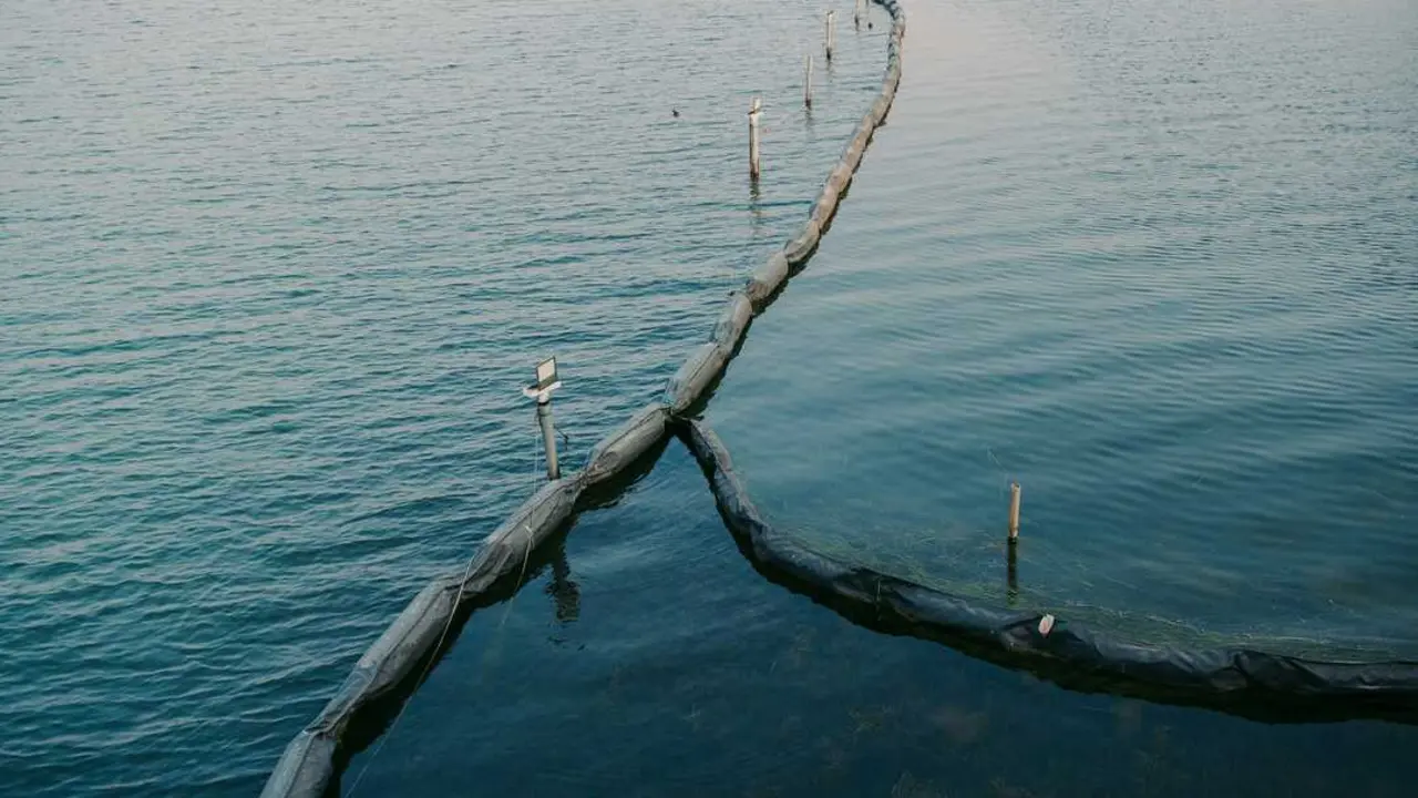 Foto de wen qiao en Unsplash