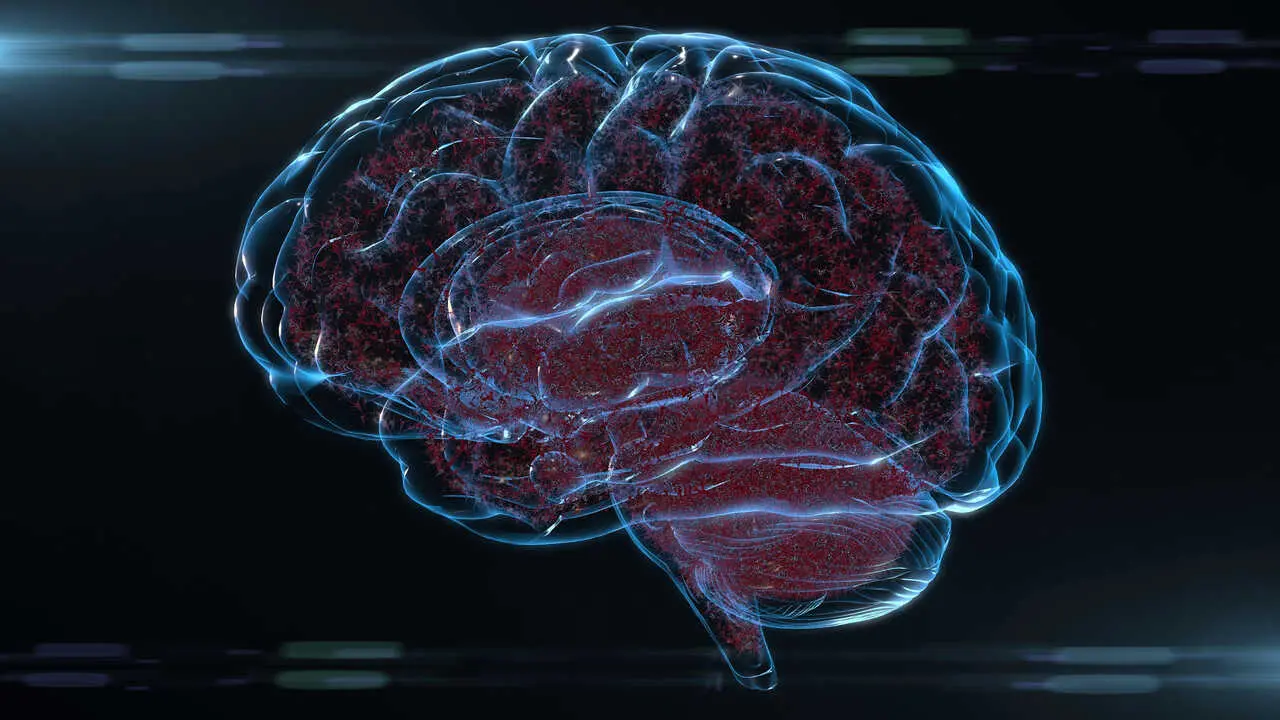 3d-animation-neural-network-and-neurons-firing-in-the-brain-SBI-351315377