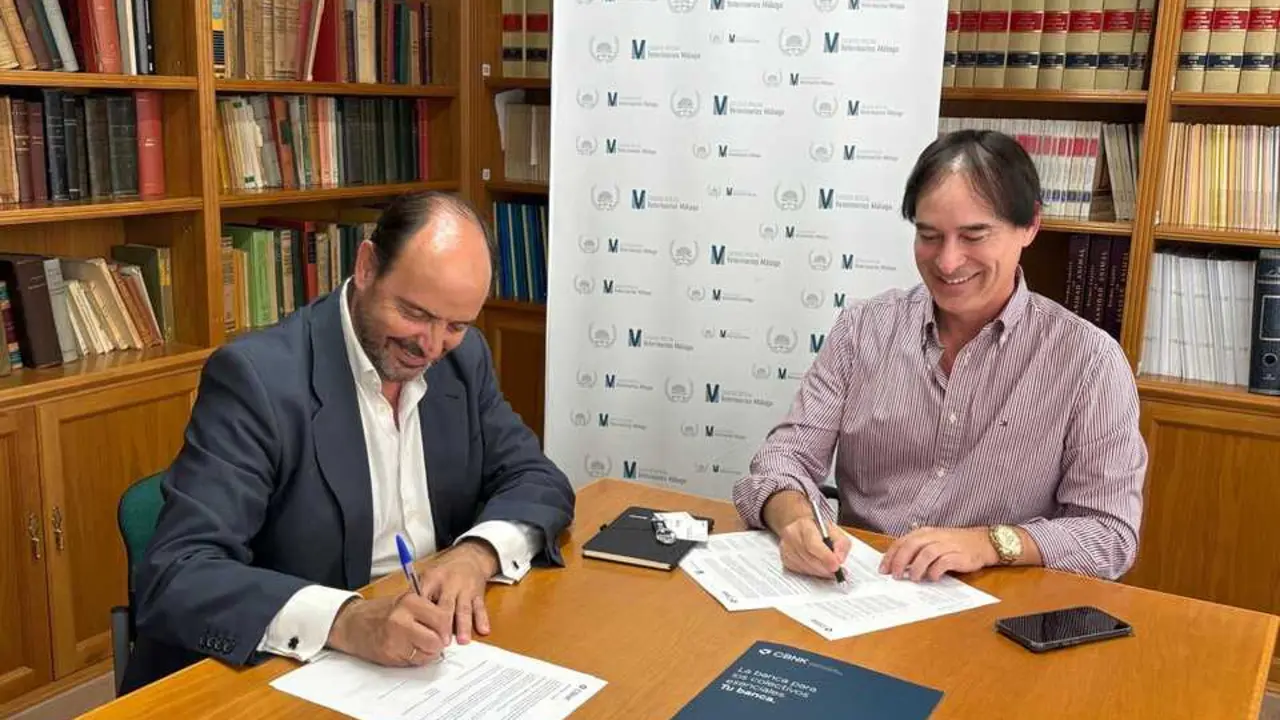 Fotografía 2