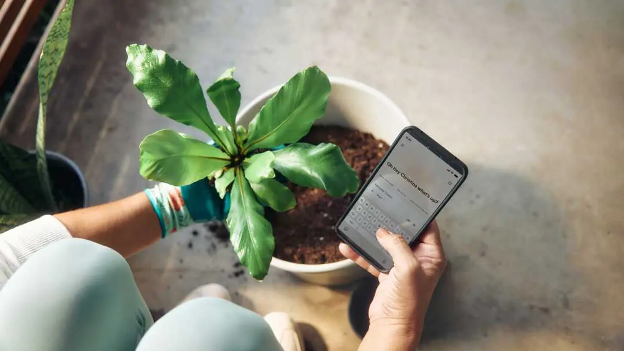 Tech Foto de Microsoft Copilot en Unsplash