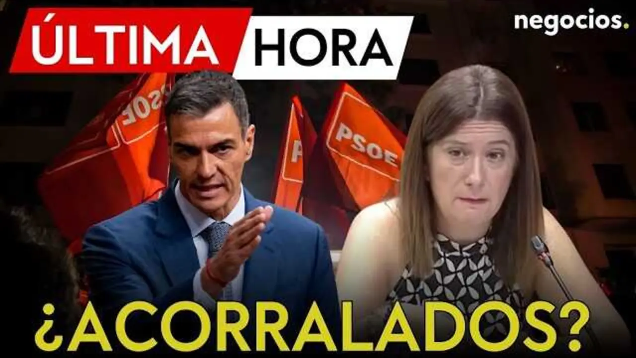 Captura del v&iacute;deo de Negocios TV que muestra el avance en la investigaci&oacute;n judicial del 'caso Leire'.<br>                        <br>                        <br>                        <br>                      