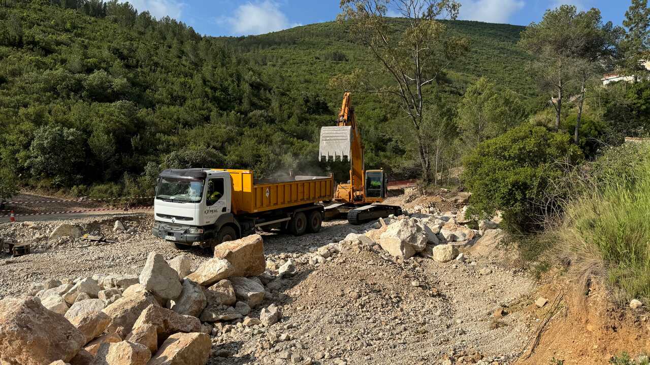 endavant caminos forest