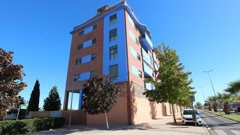 Haya Real Estate reduce a 6,3 millones de euros sus pérdidas hasta